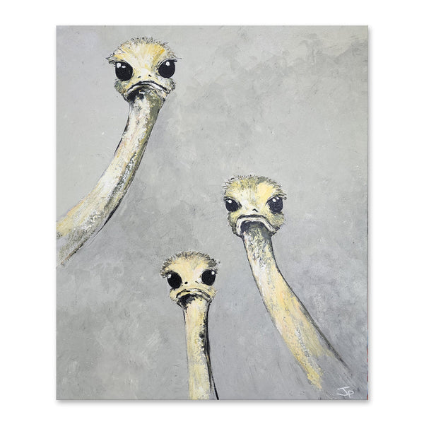 Three Curious Ostrich - Whimiscal Portrait of Three Ostrich Looking Attentively toward the Viewer, Size 100x120cm