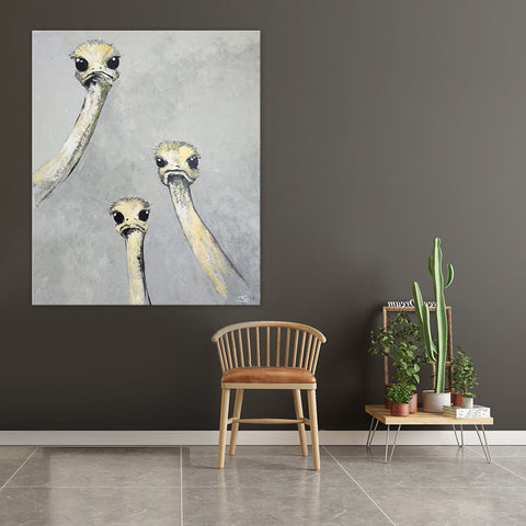 Three Curious Ostrich - Whimiscal Portrait of Three Ostrich Looking Attentively toward the Viewer, Size 100x120cm