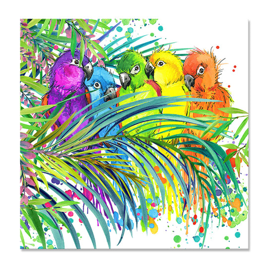 Bird Buddies - Canvas Print ART - CN310 - 60x60cm