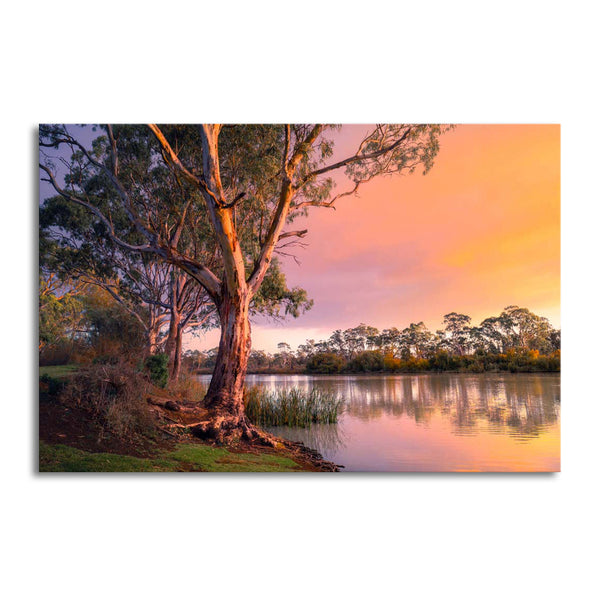 Murray River - Ready to hang Canvas Print - CN429-80x120cm