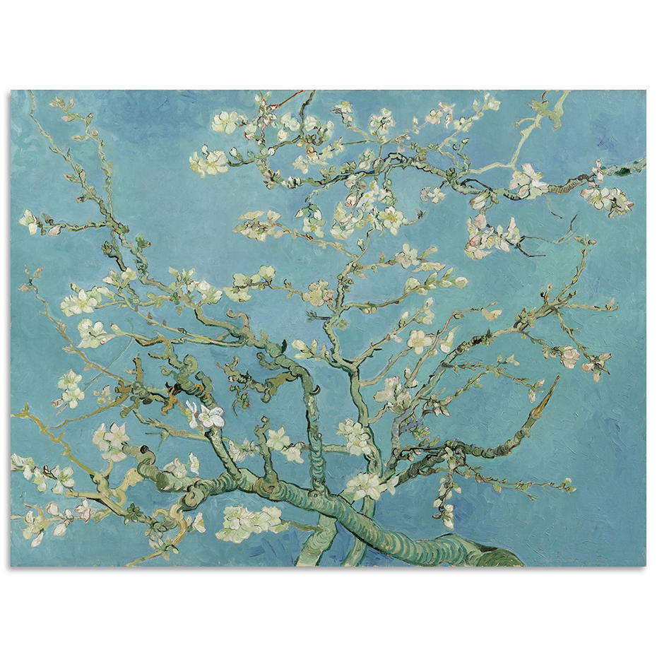 Almond Blossom - Van Gogh Canvas Art Print - Shadow Framed Art - CNL171 - 80x120cm