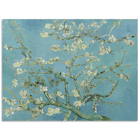 Almond Blossom - Van Gogh Canvas Art Print - Shadow Framed Art - CNL171 - 80x120cm