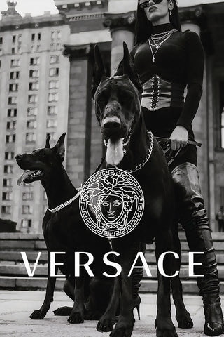 Versace - Canvas Art Print - CN741 - 80x120cm