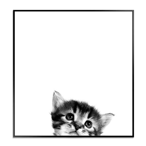 Peek a Kitty - Shadow Framed Art - CNL358 - 60x60