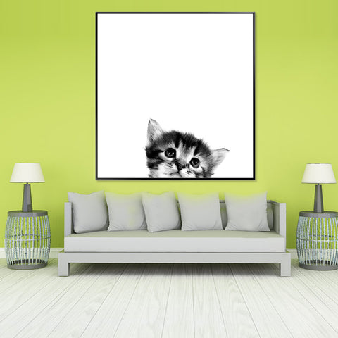 Peek a Kitty - Shadow Framed Art - CNL358 - 60x60