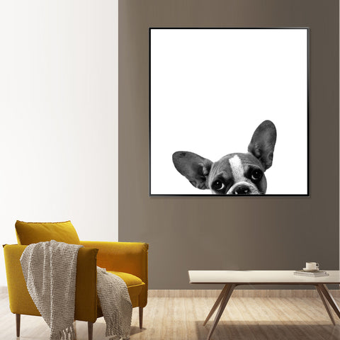 Peek a Puppy - Shadow Framed Art - CNL359 - 60x60