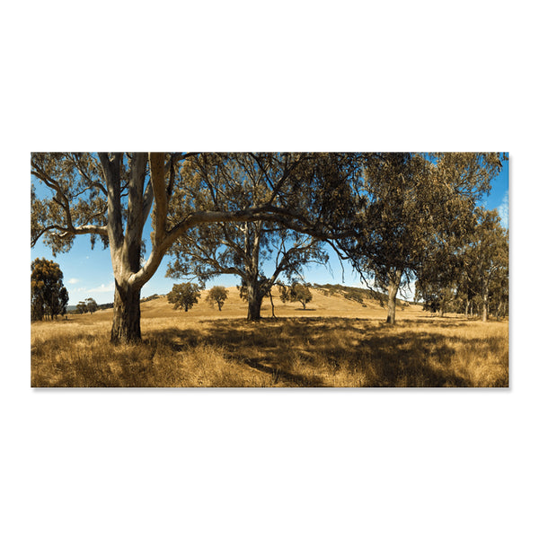 Australian Outback - Canvas Print ART - CN259 - 70x140cm