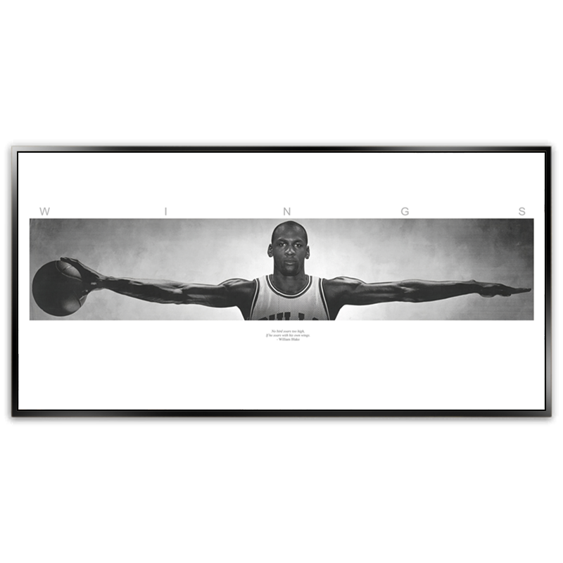 Michael Jordan Wings - Shadow Framed Art - CNL357 - 60x120cm