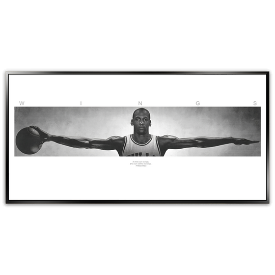 Michael Jordan Wings - Shadow Framed Art - CNL357 - 60x120cm