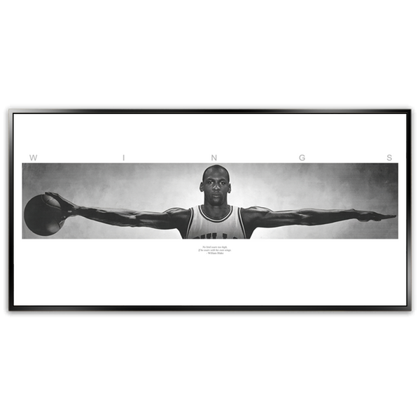 Michael Jordan Wings - Shadow Framed Art - CNL357 - 60x120cm ...