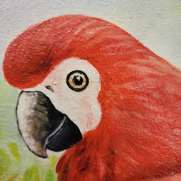 The Jungle's Eyes - Highly Detailed Oil Painting Featuring Colourful Parrots