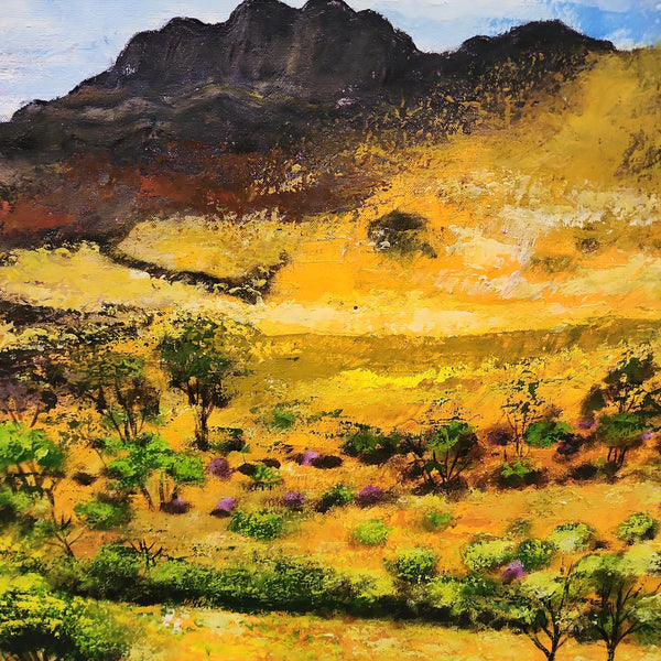 Flinders Ranges - Highly Textural Hand Painted Depiction of the Flinders Ranges, size 80x200cm